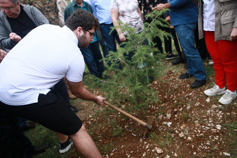 Cedar tree in memory of the Lebanese Commandos Regiment founder